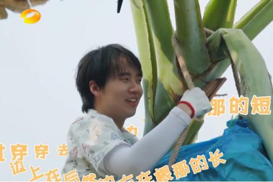 大香蕉一人在线视频,一人在线视频的精彩瞬间回顾