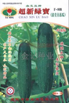 山东吊瓜今日行情价格,价格波动与市场动态一览