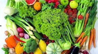 山东吊瓜今日行情价格,价格波动与市场动态一览