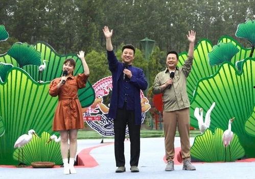 企鹅吃瓜爆料最新视频,揭秘娱乐圈最新热点事件