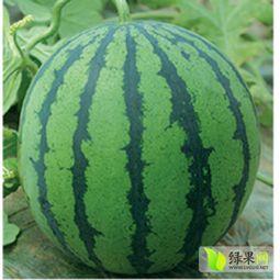 郯城今日瓜价行情最新消息,今日瓜价走势解析”