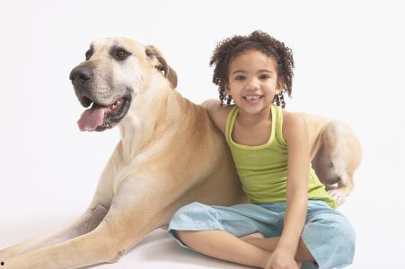 狗配女人视频,一段治愈心灵的瞬间