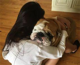 狗配女人视频,一段治愈心灵的瞬间