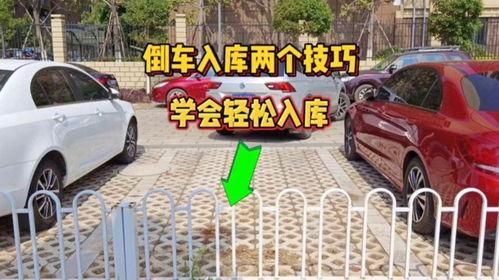 生活中倒车入库视频