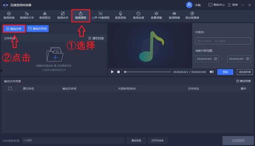 视频声音提取,视频内容精炼概述