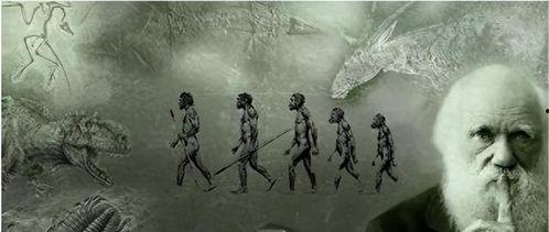 人类变化过程视频,从史前时代到现代文明的演变轨迹