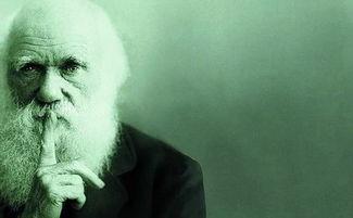 人类变化过程视频,从史前时代到现代文明的演变轨迹