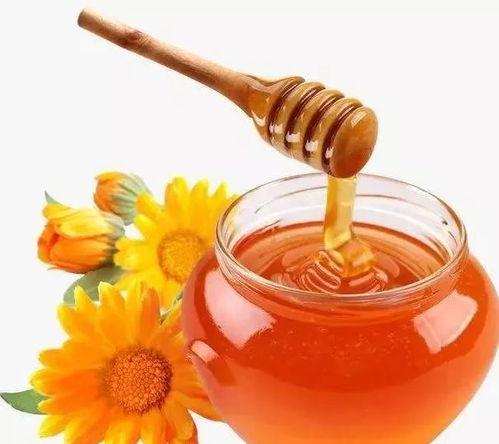 蜜蜂取蜜视频,大自然的甜蜜劳作