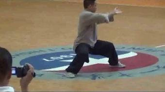 太极16式视频,动静相生，养生之道