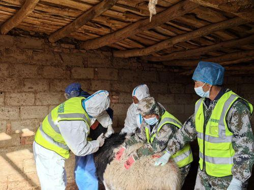 瓜州防疫今日新闻,多措并举筑牢疫情防控防线