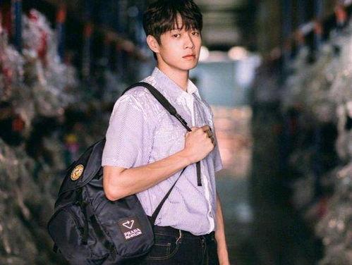 吃瓜爆料李庚希,吃瓜爆料背后的娱乐圈风云