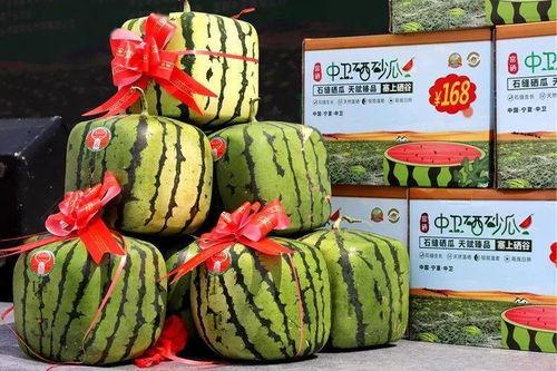 中牟韩寺今日硒砂瓜批发价,品质之选，价格亲民”