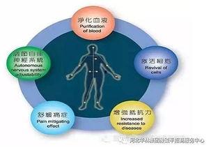 dds生物电理疗手法视频,视频解析与实操技巧