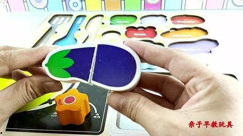 益智视频,开启智慧之门，探索知识奥秘之旅