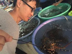 海角吃瓜黑料在哪里买到,海角吃瓜黑料，独家渠道带你一探究竟