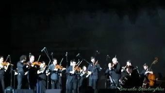 美多多广场舞视频,活力四射，舞动人生精彩瞬间