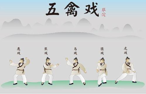 五禽戏分解教学视频,轻松掌握养生功法精髓