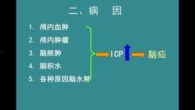 五禽戏分解教学视频,轻松掌握养生功法精髓