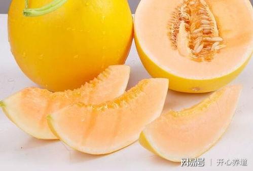 吃黑蜜瓜的功效和作用禁忌,功效与作用揭秘，禁忌须知