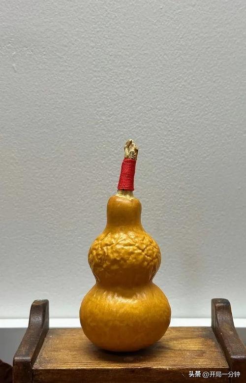 葫芦视频,揭秘奇妙的葫芦世界