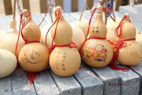 葫芦视频,揭秘奇妙的葫芦世界