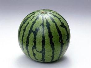 减肥可以吃黑瓜吗会胖吗,美味低脂，助你健康瘦身不反弹