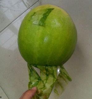 五一吃瓜今日吃瓜事件,盘点今日热门网络事件