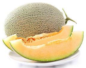 山东哈密瓜今日行情