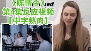 中文字幕小视频,中文字幕背后的故事