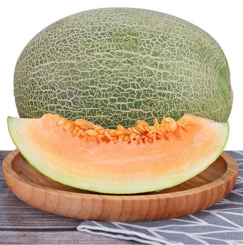 昆明小蜜瓜今日价格表,新鲜上市，品质优价实惠