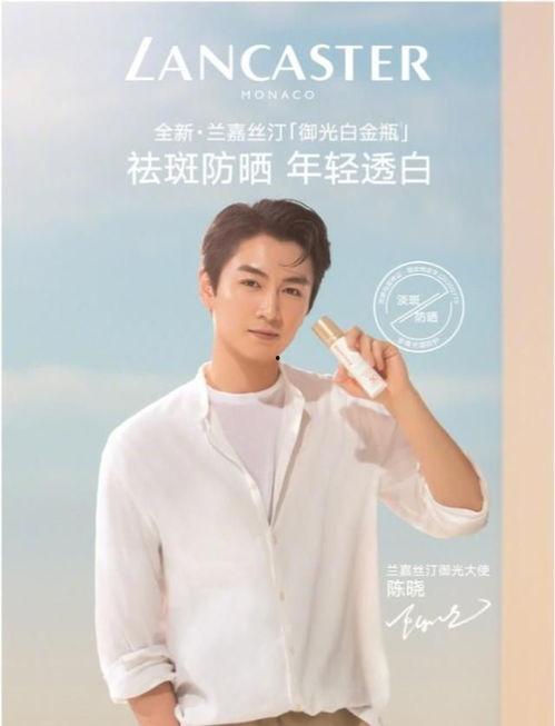 明星吃瓜爆料陈晓,娱乐圈风云再起