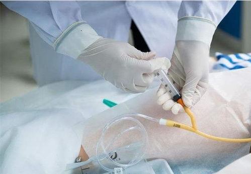 插尿管视频,专业操作与注意事项