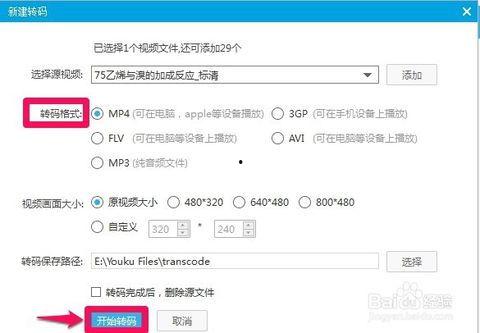 视频转码是什么意思,数字影像的魔法转换之旅