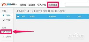 视频转码是什么意思,数字影像的魔法转换之旅