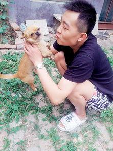 小狗豆豆视频,欢乐逗趣瞬间回顾