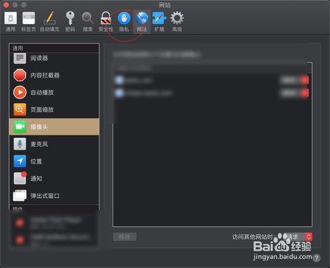 safari缓存视频,揭秘Safari浏览器缓存视频的技巧与概述