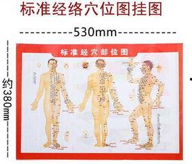 颈部刮痧手法视频,轻松缓解疲劳，焕发活力