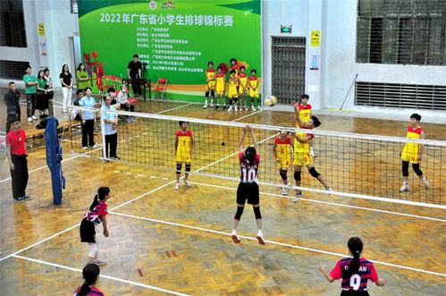 小学生排球比赛视频,小学生激情对决，精彩瞬间回顾