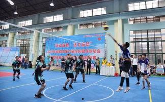 小学生排球比赛视频,小学生激情对决，精彩瞬间回顾