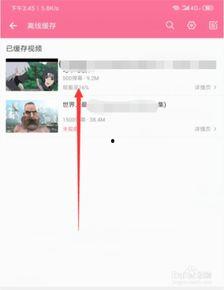 怎么在b站下载视频,轻松掌握下载技巧