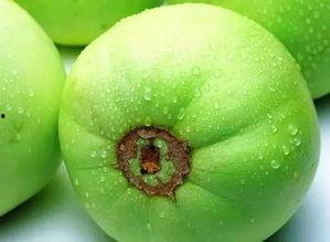 北京朝阳黑料吃瓜网,吃瓜网带你探秘网络八卦风云