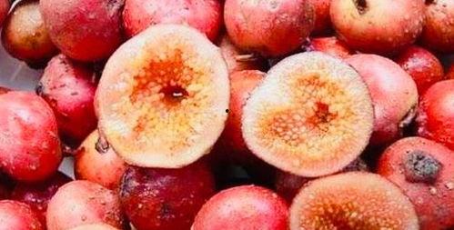 黑瓜乳腺癌可以吃吗,适宜与禁忌一览