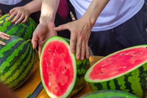 海口今日吃瓜新闻视频,今日新闻视频盘点