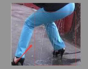 尿急憋不住视频,揭秘尴尬时刻背后的生理奥秘