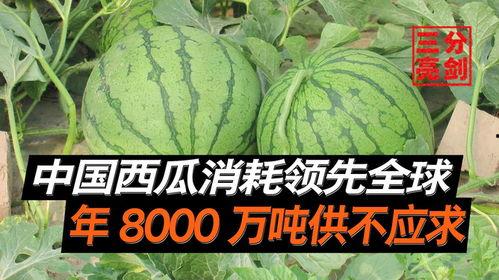 成都吃瓜爆料是真的吗,真相揭秘，是真是假？