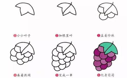 葡萄简笔画视频,跟随简笔画视频探索葡萄之美