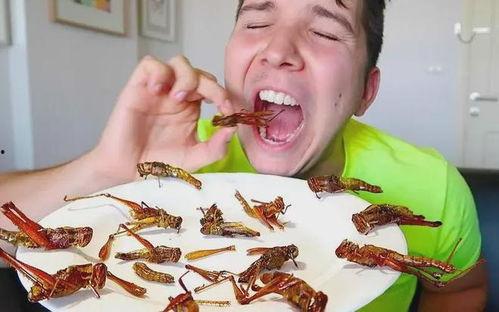 黑壳虾可以吃小瓜虫吗,探究共生关系与食用可能性