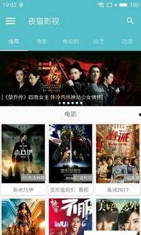 夜猫视频在线观看,深夜时光的视听盛宴