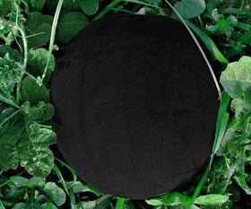 白瓜黑吃,揭秘神秘食材的传奇故事