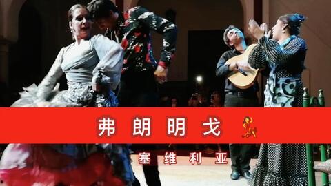 弗朗明戈舞蹈视频,弗朗明戈舞蹈的魅力瞬间
